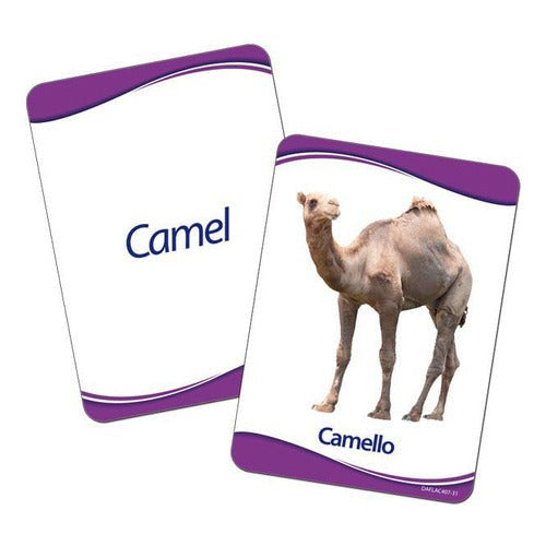 Láminas Animales Dactic