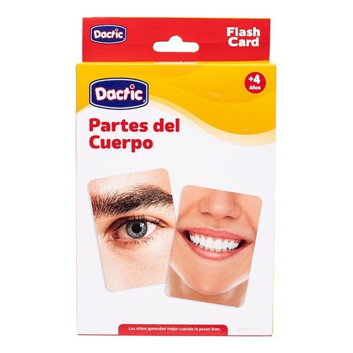 Lámina Didáctica Partes Del Cuerpo