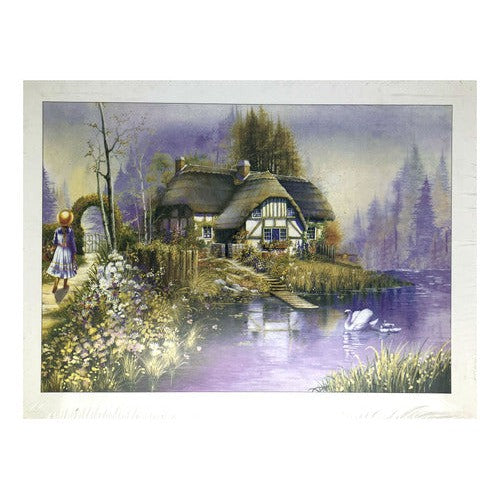 Rompecabezas Puzzle 500 Piezas 38x52 Cm
