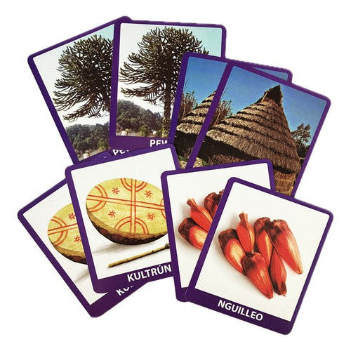 Memorice Pueblos Indigenas Chilenos