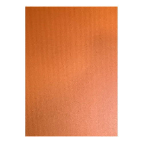 Papel Kraft De Color Pliego 50x70 Cm