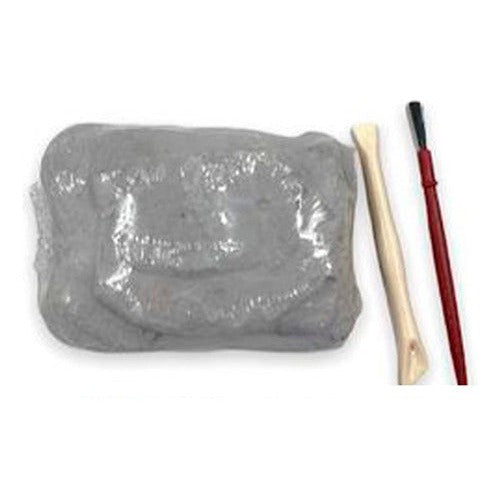 Juguete Kit Para Excavar Un Dinosaurio