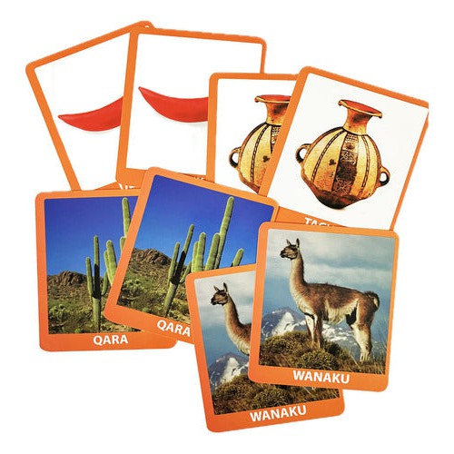 Memorice Pueblos Indigenas Chilenos