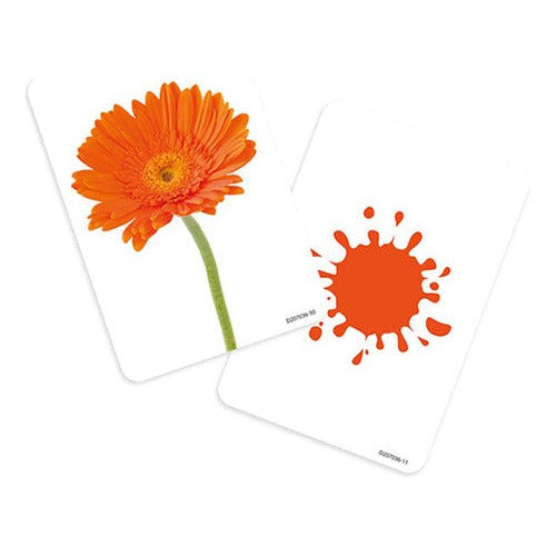 Láminas Objetos Y Colores