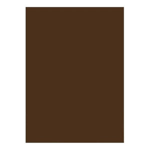 Pliego Cartulina Doble Faz 50x70 Cm Manualidades