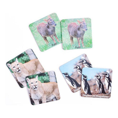 Memorice Plus Fauna Chilena Dactic