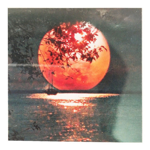 Pintura Diamante 20x20 + Caja 28 Espacios Cristales