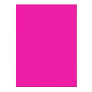 Pliego Cartulina Doble Faz 50x70 Cm Manualidades