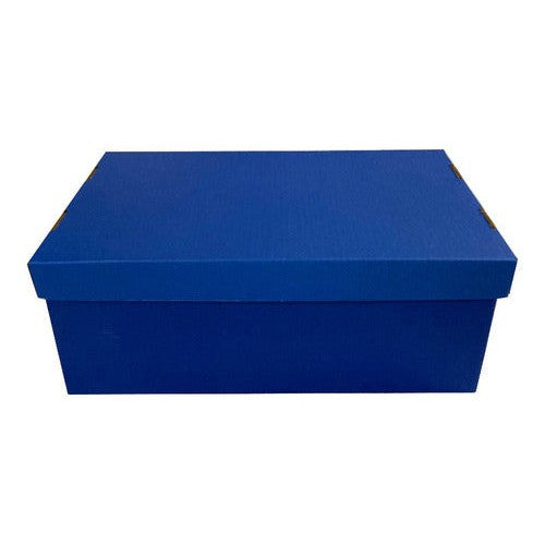 Caja Cartón Escolar 28x17,5x10,5 Cm Azul