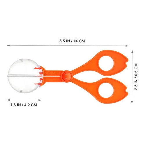 Set 4 Piezas Para Motricidad Fina