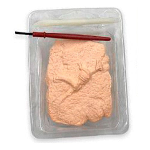 Juguete Kit Para Excavar Un Dinosaurio