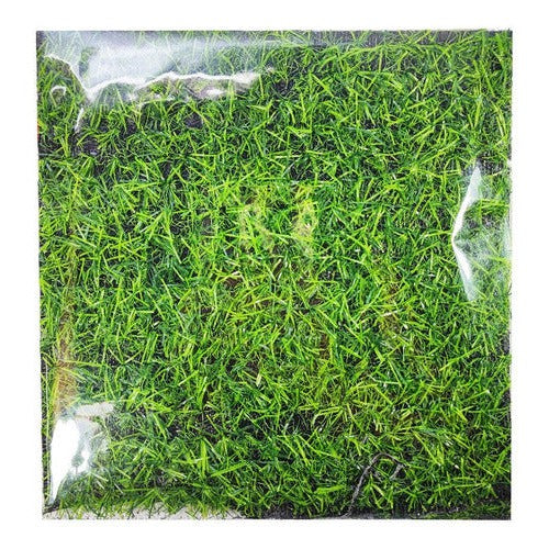 Pasto De Plástico Para Manualidades