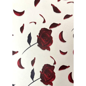 Papel De Regalo Satín (5 Pliegos) 50x70cm