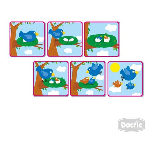 Tarjetas Secuencia Cartón 6 Tiempos Dactic