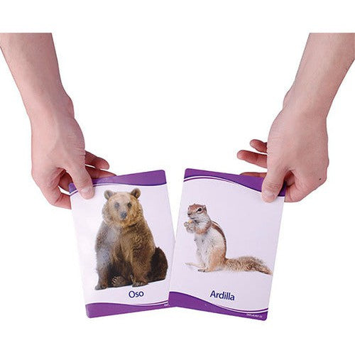 Láminas Animales Dactic