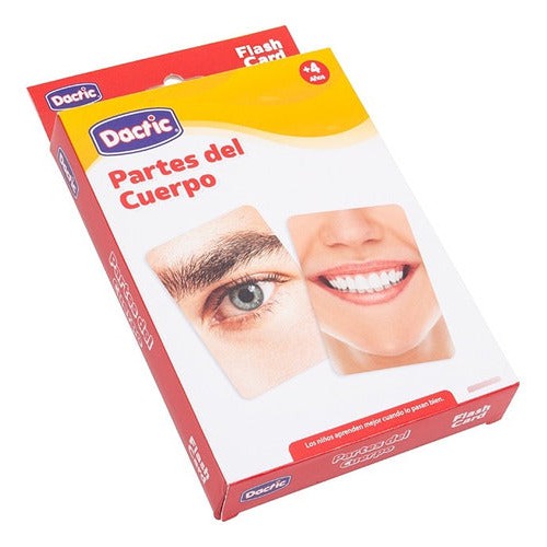 Lámina Didáctica Partes Del Cuerpo