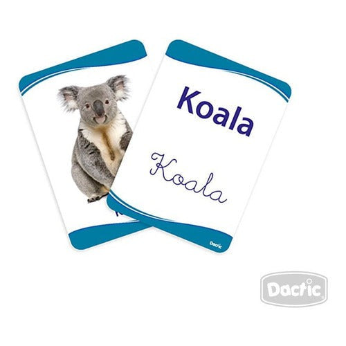 Láminas Abecedario Mayúsculas Y Minúsculas Dactic