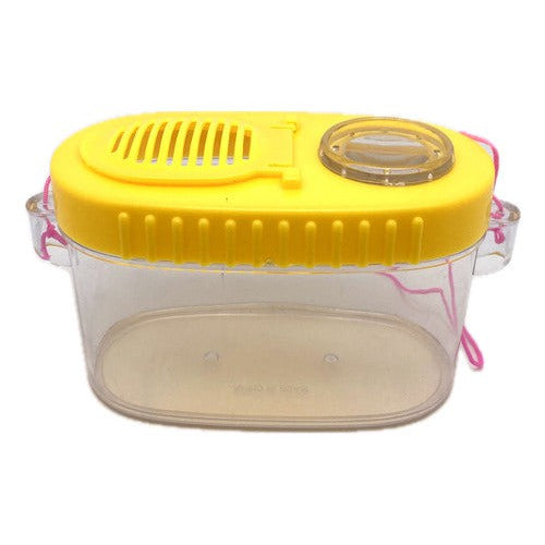 Set Insectario Con Lupa Y Accesorios Didáctico