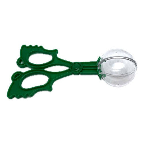 Set Insectario Con Lupa Y Accesorios Didáctico