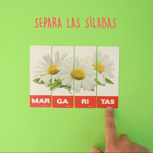 Láminas Didácticas Lenguaje Multisílabas