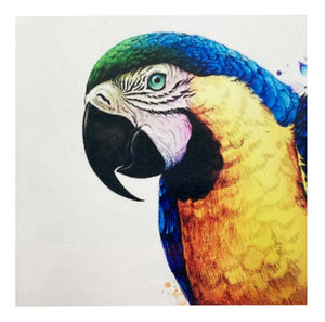 Pintura Diamante 30x30 + Caja 28 Espacios Cristales