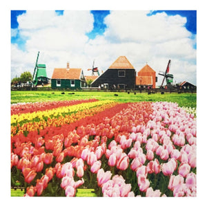 Pintura Diamante 30x30 + Caja 28 Espacios Cristales