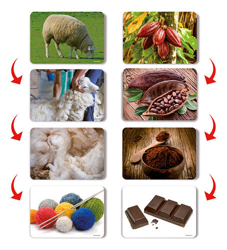 Láminas Didácticas Procesos Productivos