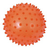 Pelota Sensorial Transparente 15 Cm