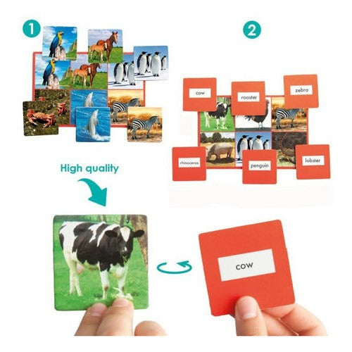 Bingo Lotería Asociación Animales