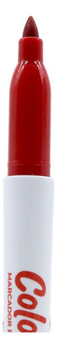 Marcador Permanente Punta Fina Colorways