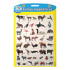 Pizarra Magnetica Con Fichas Animales Y Alimentos