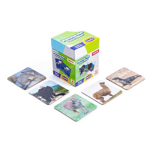 Memorice Plus Fauna Chilena Dactic