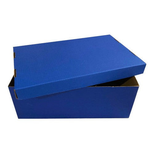 Caja Cartón Escolar 28x17,5x10,5 Cm Azul