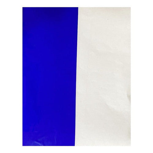 Papel Celofan 62.5x100cm 2un Colores