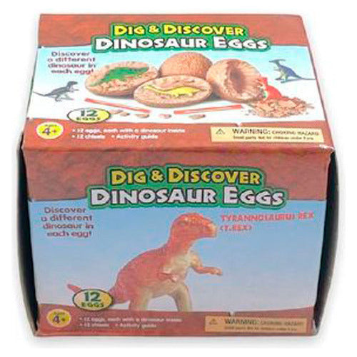 Juguete Kit Para Excavar Un Dinosaurio