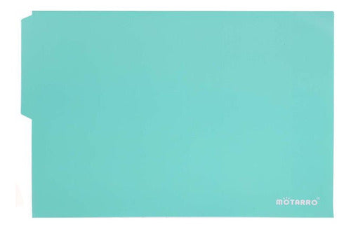 Carpeta Cartulina Pigmentada 25.5x34.5 Cm Pack 5 Un