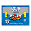 Carpeta Carton Piedra 6 Un 20x30
