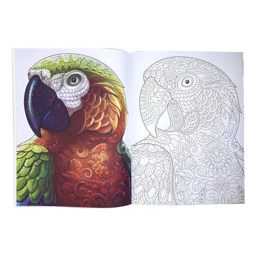 Libro Arteterapia Para Pintar Mandalas Niños