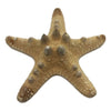 Estrella De Mar Artificial Decorativa Manualidades