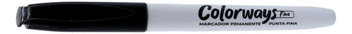 Marcador Permanente Punta Fina Colorways