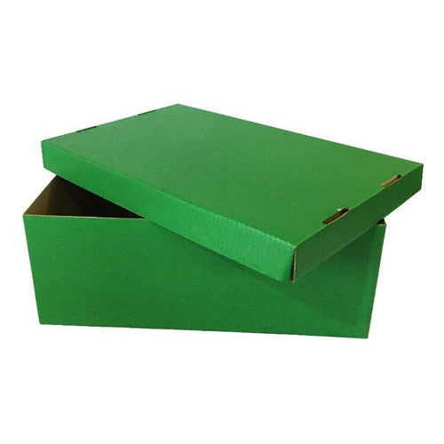 Caja Cartón Escolar 28x17,5x10,5 Cm Verde